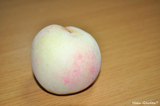 DSC_0048.jpg