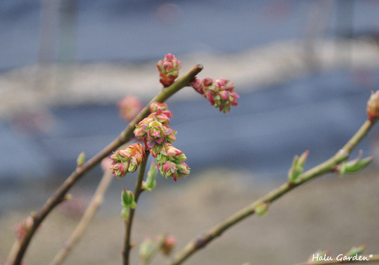 DSC_0075.jpg