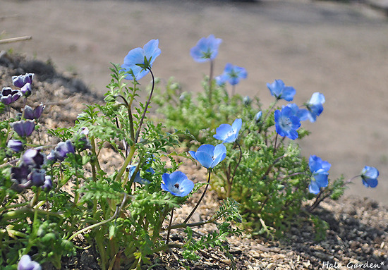 DSC_0174_1.jpg