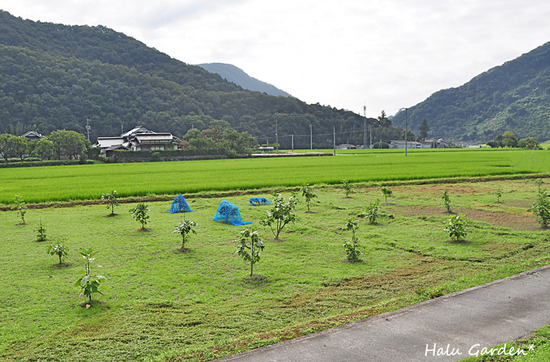 DSC_0262_1.jpg
