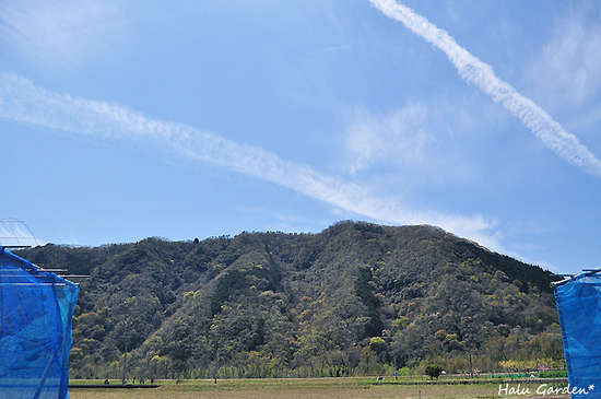 DSC_0264_1.jpg