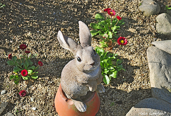 DSC_0267_1.jpg